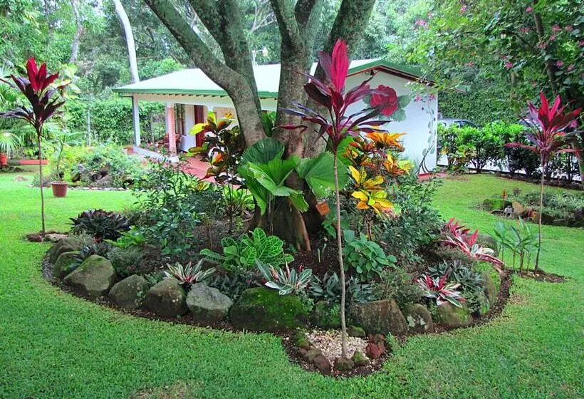 هتل La Rosa De America