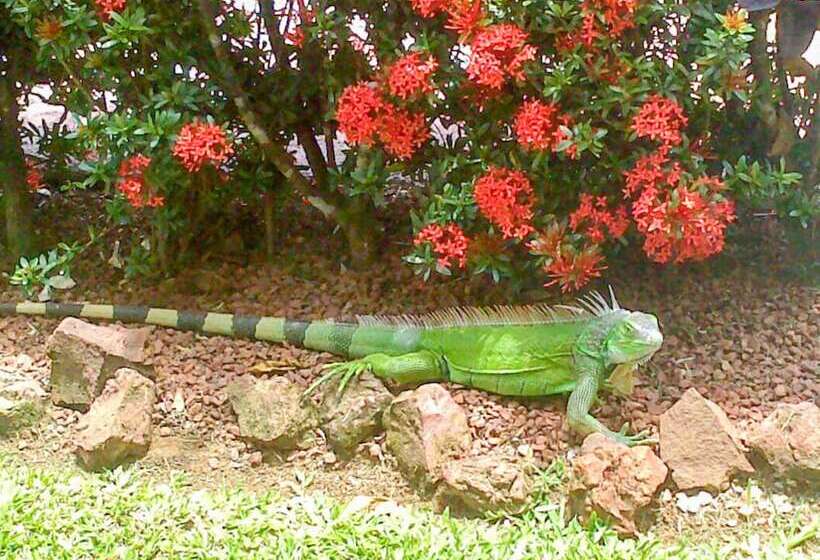 هتل La Rosa De America