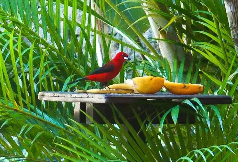 هتل Pousada Manga Rosa