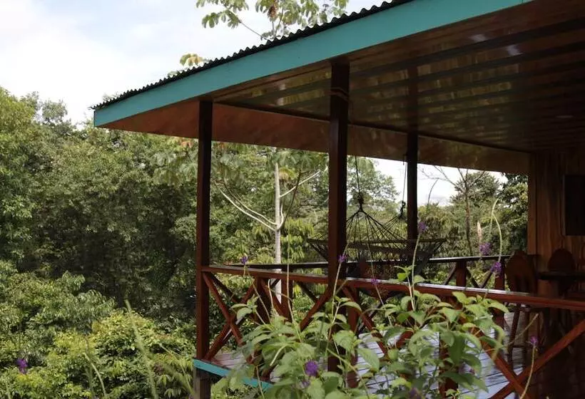 호텔 Vista Drake Lodge