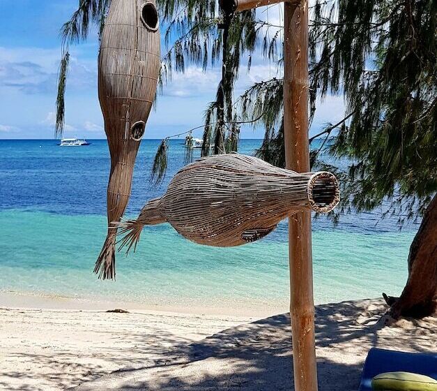 Ocean Vida Beach And Dive Resort