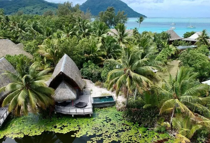 استراحتگاه Maitai Lapita Village Huahine