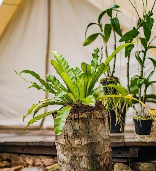 호스텔 Green Valley Veal Pouch