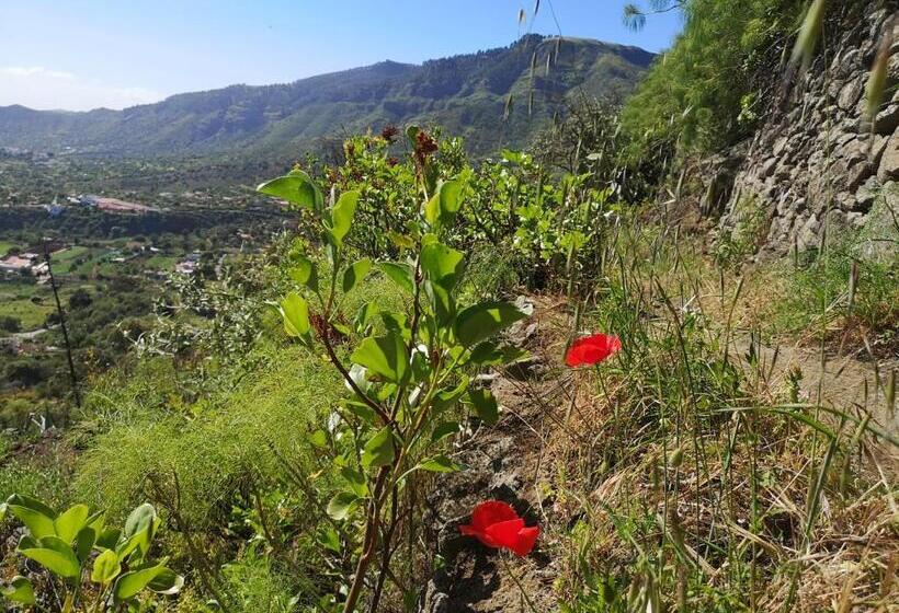 پانسیون Suite Zen Y Cueva Refugio