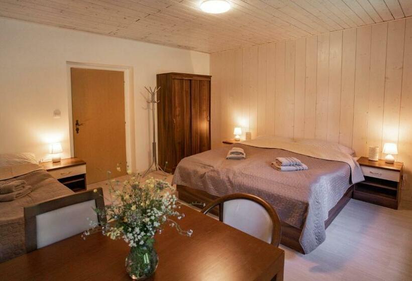 بنسيون U šumavských Pramenů