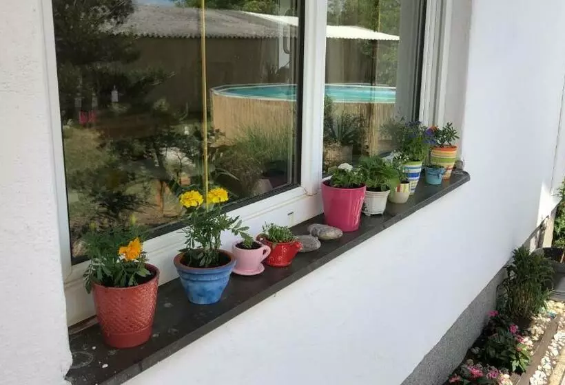 تختخواب و صبحانه Casa Boebelle