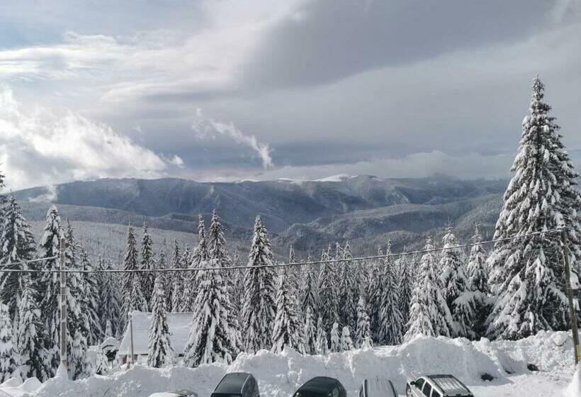 Pensiunea Alpin Ranca