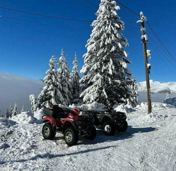 Pensiunea Alpin Ranca