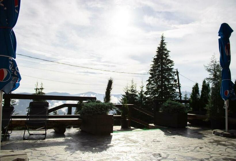 Pensiunea Alpin Ranca