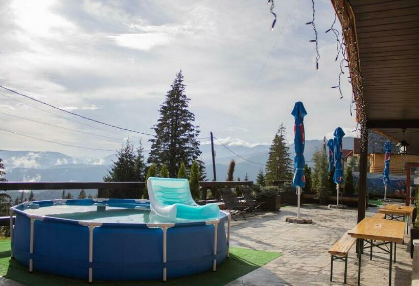 Pensiunea Alpin Ranca