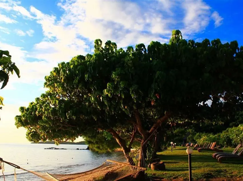 Coralview Island Resort