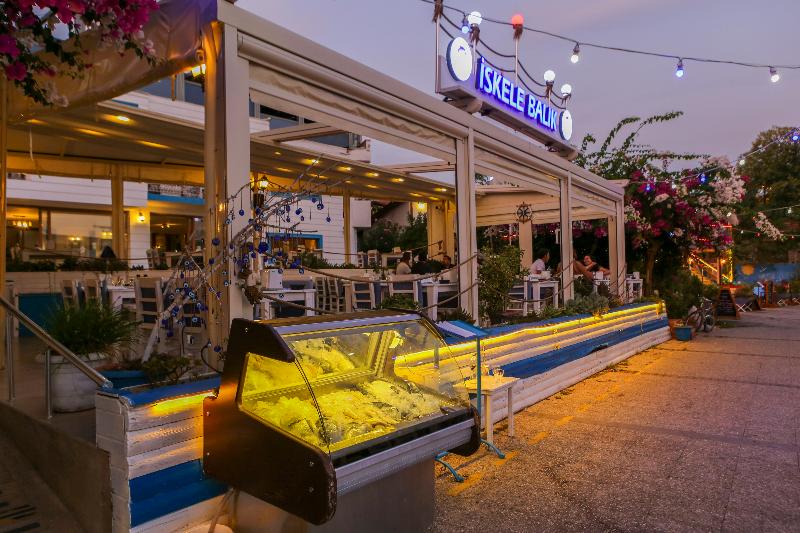 Dalyan Hotel Palmyra   Special Class