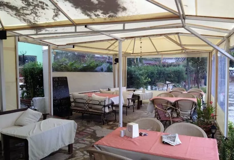 Dalyan Hotel Palmyra   Special Class