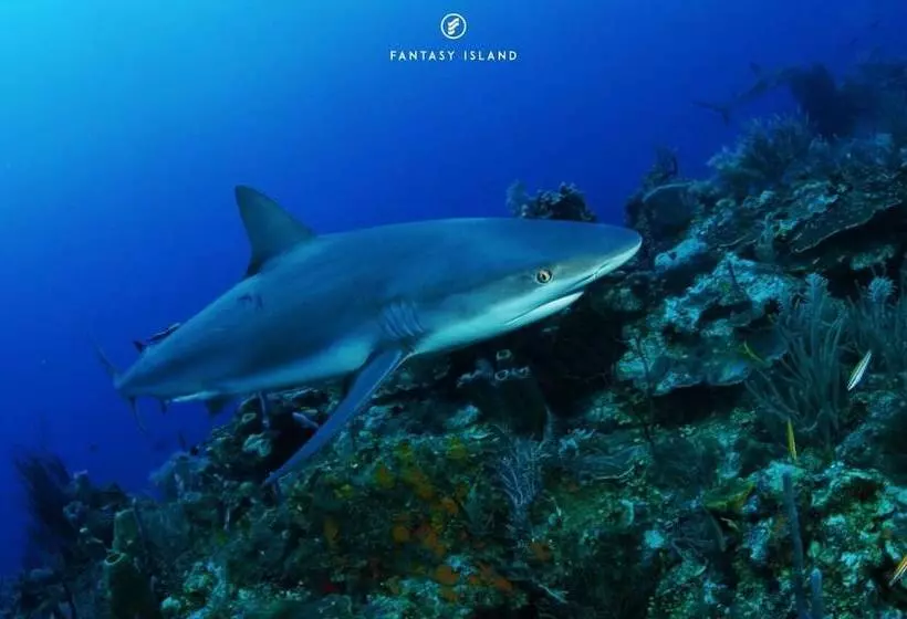 Fantasy Island Beach Resort And Marina All Inclusive