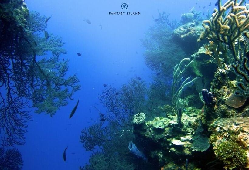 Fantasy Island Beach Resort And Marina All Inclusive