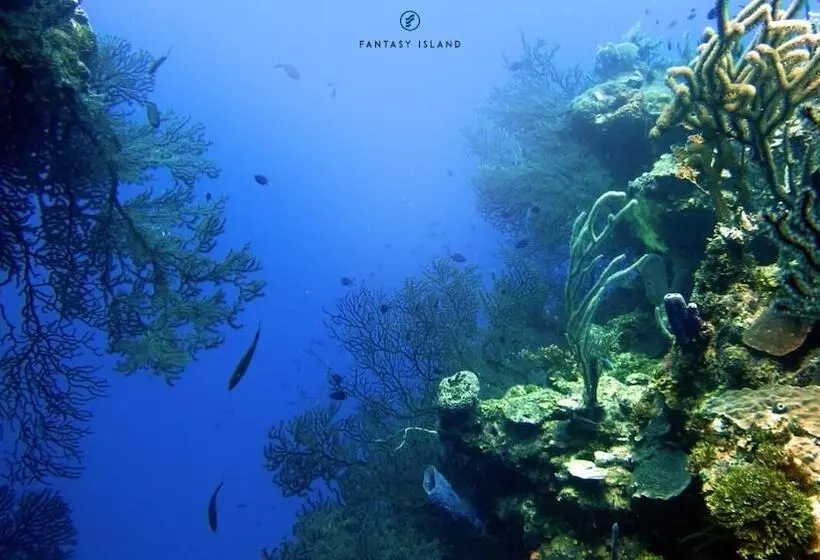 Fantasy Island Beach Resort And Marina All Inclusive