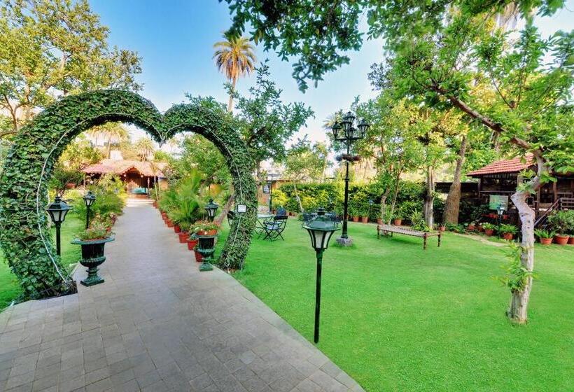 Отель Chacha Inn  The Garden Retreat