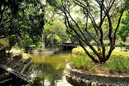 ホテル Infinity Corbett Wilderness Resort