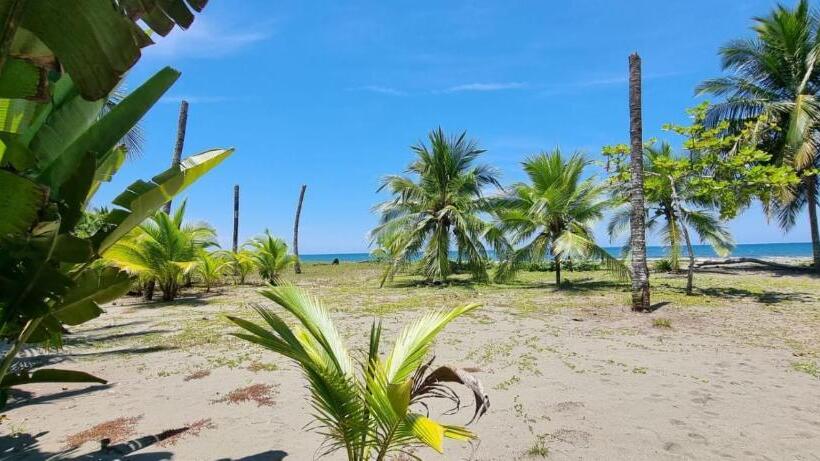 ホテル Playa Westfalia