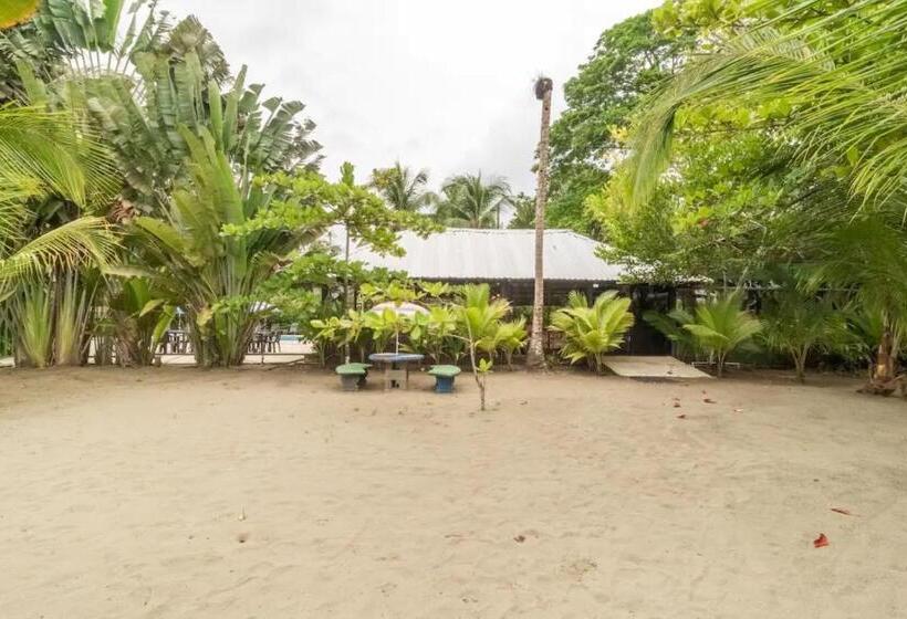 ホテル Playa Westfalia