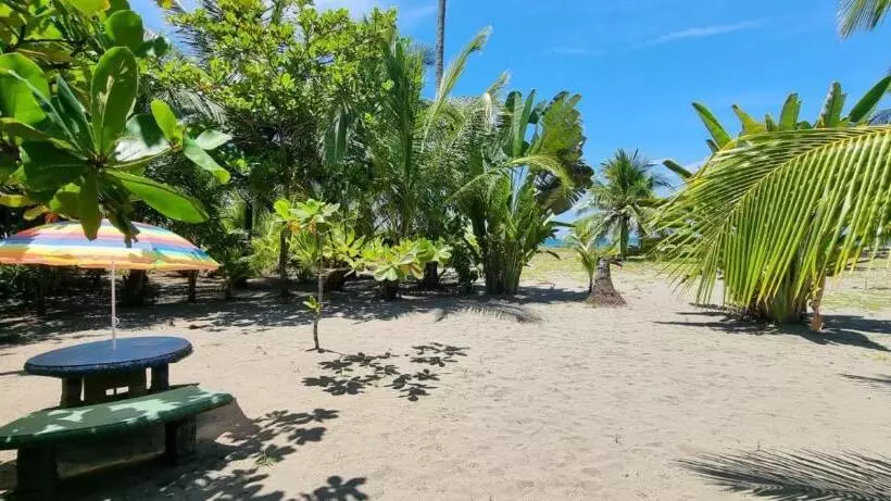 酒店 Playa Westfalia