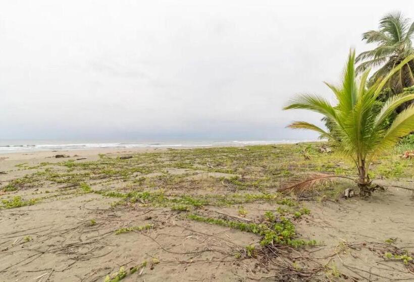 ホテル Playa Westfalia