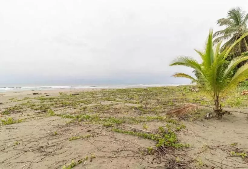 酒店 Playa Westfalia