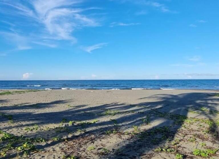 ホテル Playa Westfalia