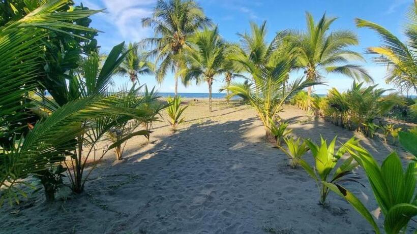 ホテル Playa Westfalia