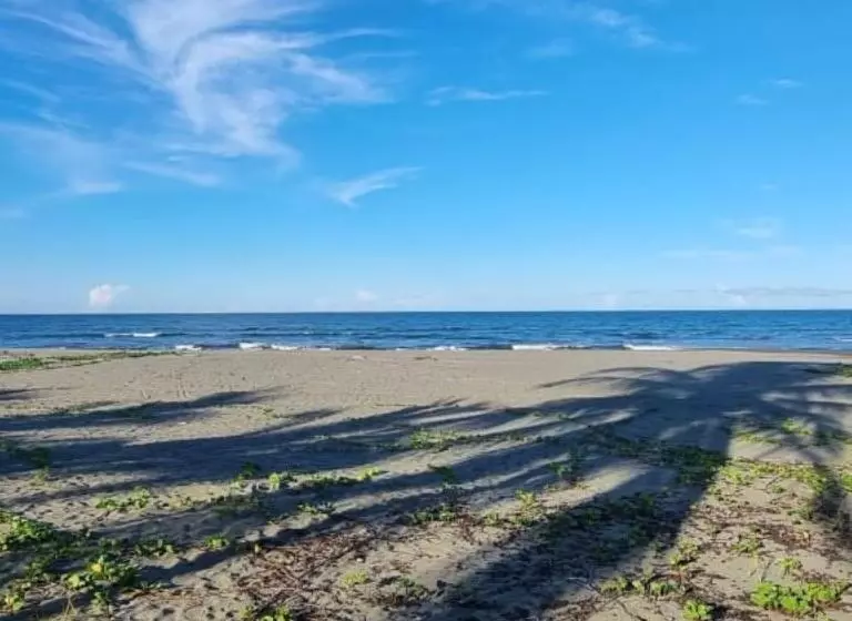 酒店 Playa Westfalia