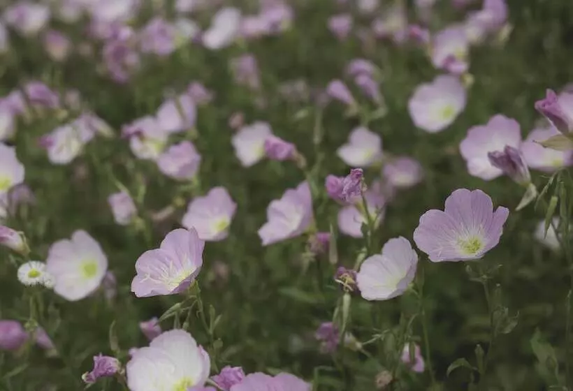 Отель Pullman Changshu Leeman