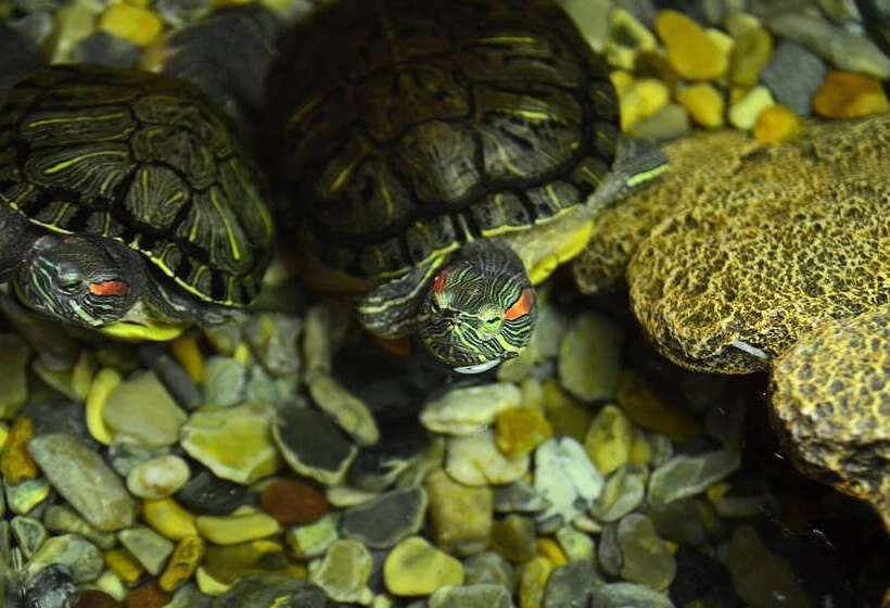 ホテル Seasons Spa Boutique