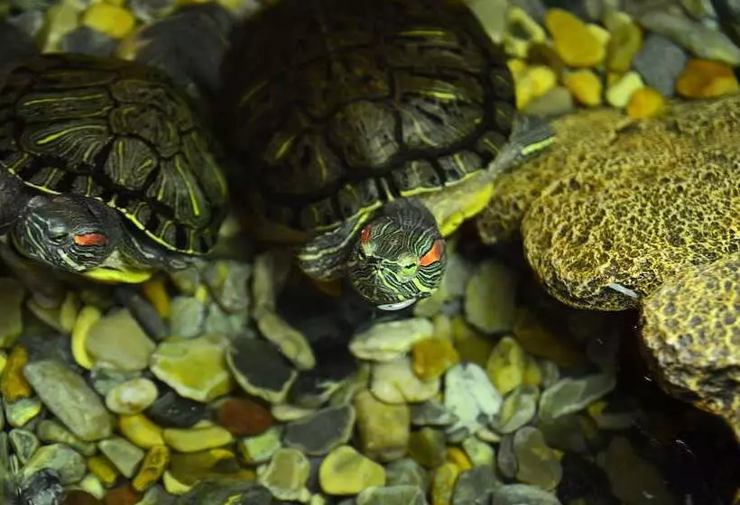 호텔 Seasons Spa Boutique