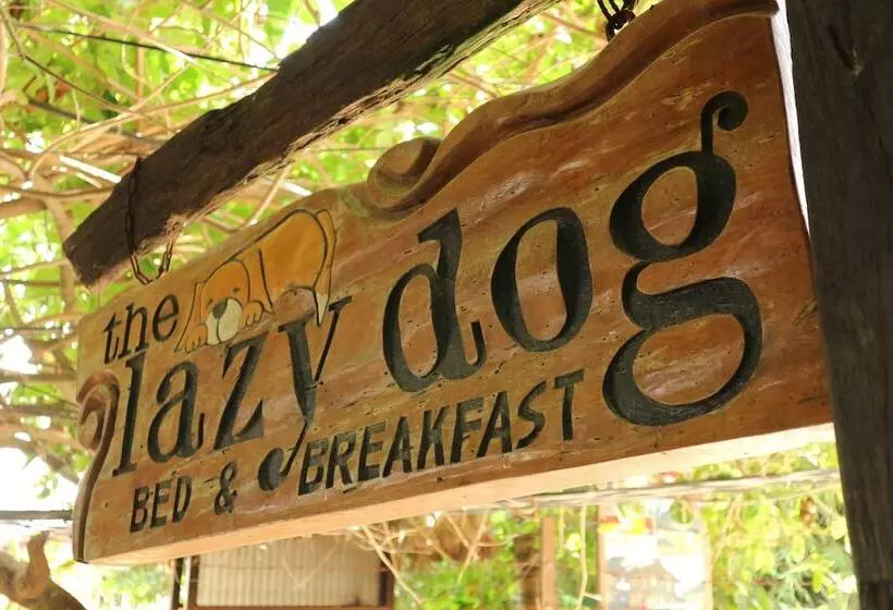 Lomakeskus Lazy Dog Bed & Breakfast