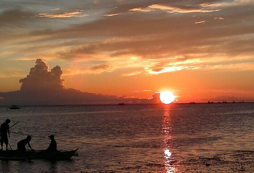 리조트 Lazy Dog Bed & Breakfast