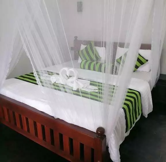 Bed and Breakfast Springfield View