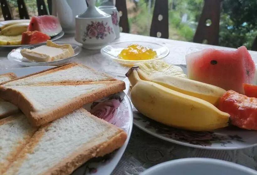 Bed and Breakfast Springfield View