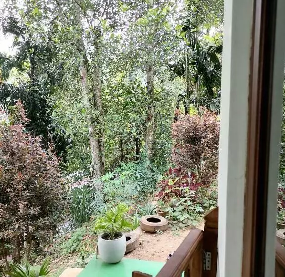 Bed and Breakfast Springfield View