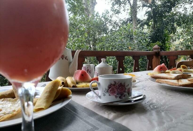 Nocleg ze śniadaniem Springfield View