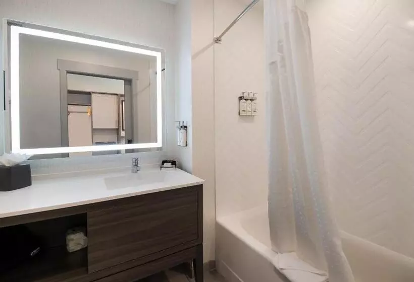 ホテル Holiday Inn & Suites   Mt Juliet Nashville Area, An Ihg