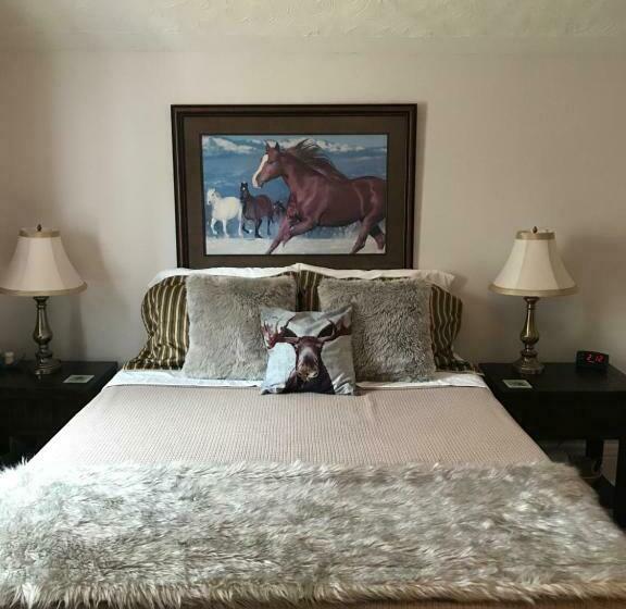 بنسيون Northern Comfort