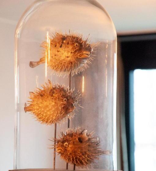 בית מלון כפרי Biesbosch