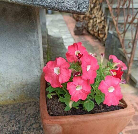 Bed & Breakfast Le Cicale E La Formica