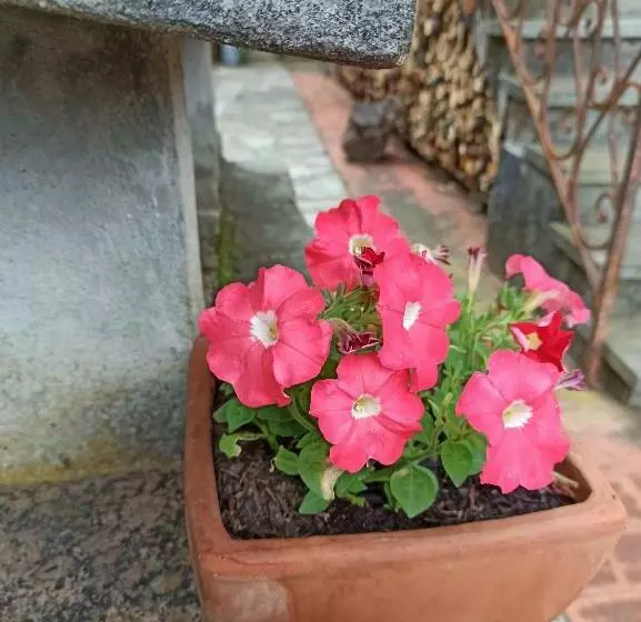 Bed & Breakfast Le Cicale E La Formica