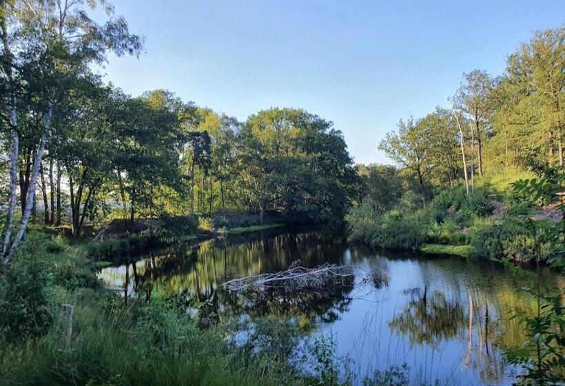 Bed and Breakfast De Merel