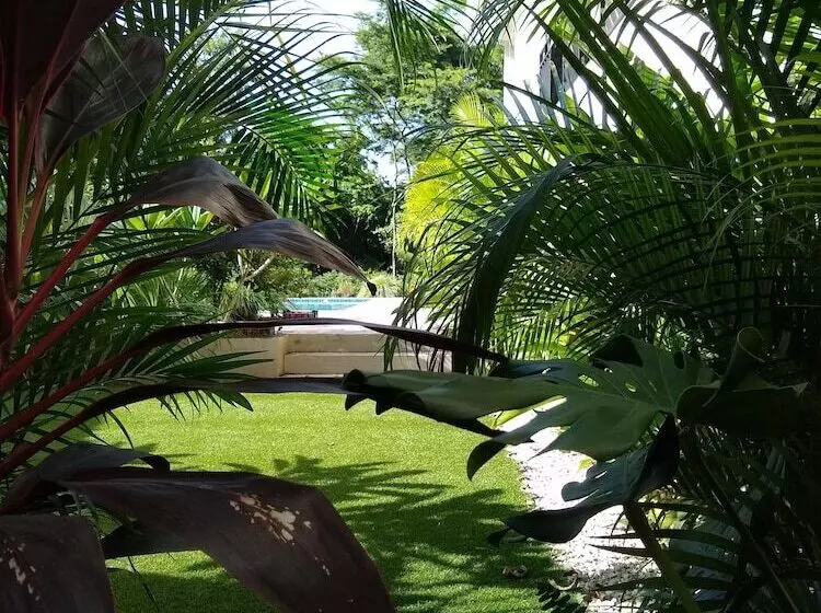 Hotelli Palm Beach Inn