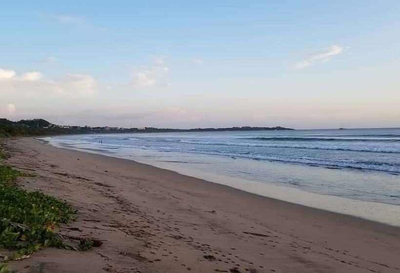 فندق Palm Beach Inn