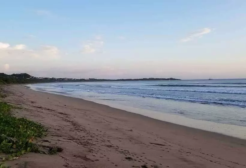 Hotelli Palm Beach Inn