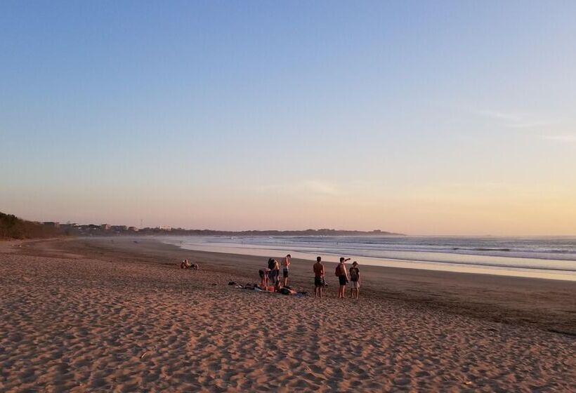 فندق Palm Beach Inn