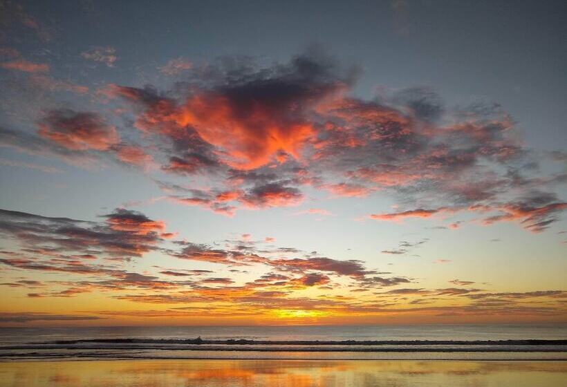 فندق Palm Beach Inn